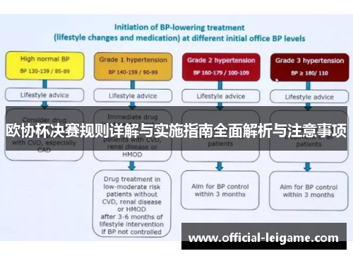 欧协杯决赛规则详解与实施指南全面解析与注意事项