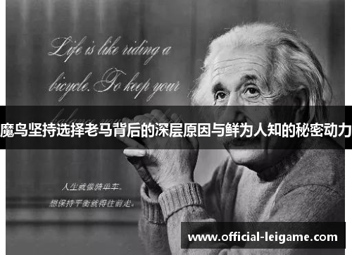 魔鸟坚持选择老马背后的深层原因与鲜为人知的秘密动力
