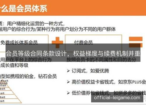 会员等级合同条款设计，权益梯度与续费机制并重
